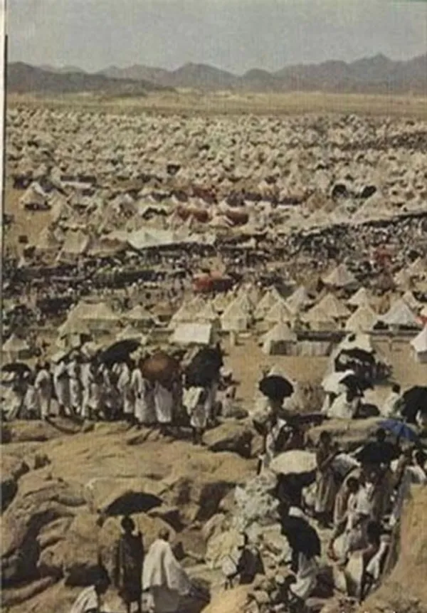 منظره عرفات از بلندای کوه &laquo;الرحمه&raquo;