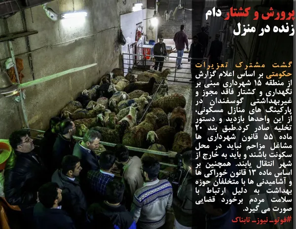 گشت مشترک تعزیرات حکومتی بر اساس اعلام گزارش از منطقه ١5 شهرداری مبنی بر نگهداری و کشتار فاقد مجوز و غیربهداشتی گوسفندان در پارکینگ های منازل مسکونی، از این واحدها بازدید و دستور تخلیه صادر کرد.طبق بند ٢٠ ماده 55 قانون شهرداری ها مشاغل مزاحم نباید در محل سکونت باشند و باید به خارج از شهر انتقال یابند. همچنین بر اساس ماده ١٣ قانون خوراکی ها و آشامیدنی ها با متخلفان حوزه بهداشت به دلیل ارتباط با سلامت مردم برخورد قضایی صورت می گیرد.
