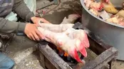 پخت بزرگ‌ترین کله پاچه سنتی پاکستان در پیشاور