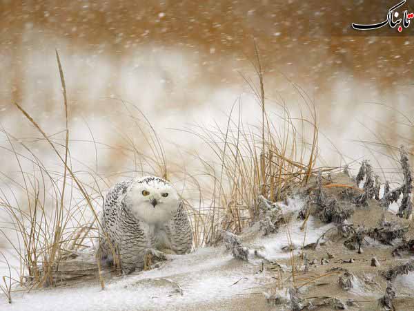 Best of February 2012