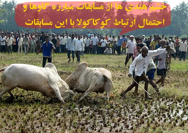 از ماهواره نظامی ژاپن تا روسیه در قطب