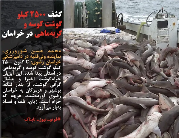 محمد حسن شورورزی، نماینده ولی&zwnj;فقیه در دامپزشکی خراسان رضوی: تا کنون ۲۵۰۰ کیلو گوشت کوسه و گربه&zwnj;ماهی در استان پیدا شده. این آبزیان حرام&zwnj;گوشت اخیرا و بدنبال گرانی گوشت، از بندر لنگه، بوشهر و هرمزگان به خراسان رضوی آورده&zwnj;شده. هرچه که حرام است، زیان، تلف و فساد به&zwnj;بار می&zwnj;آورد.
