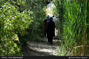 تابناک