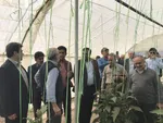 تابناک
