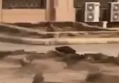 ای مادر اباالفضل ؛ محمد حسین پویانفر